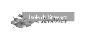 Isole di Brissago